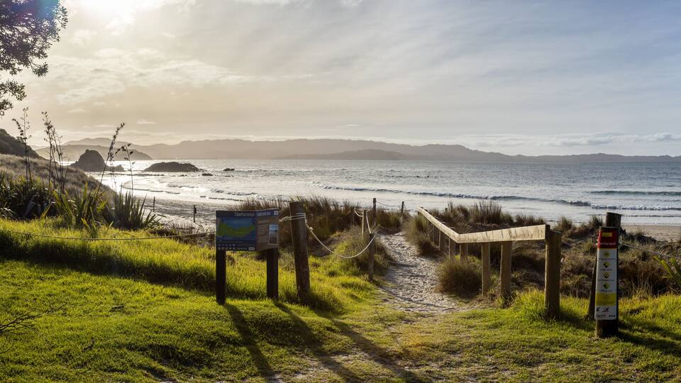 A coastal path leading to a beach with a signboard, surrounded by grass and rocks.