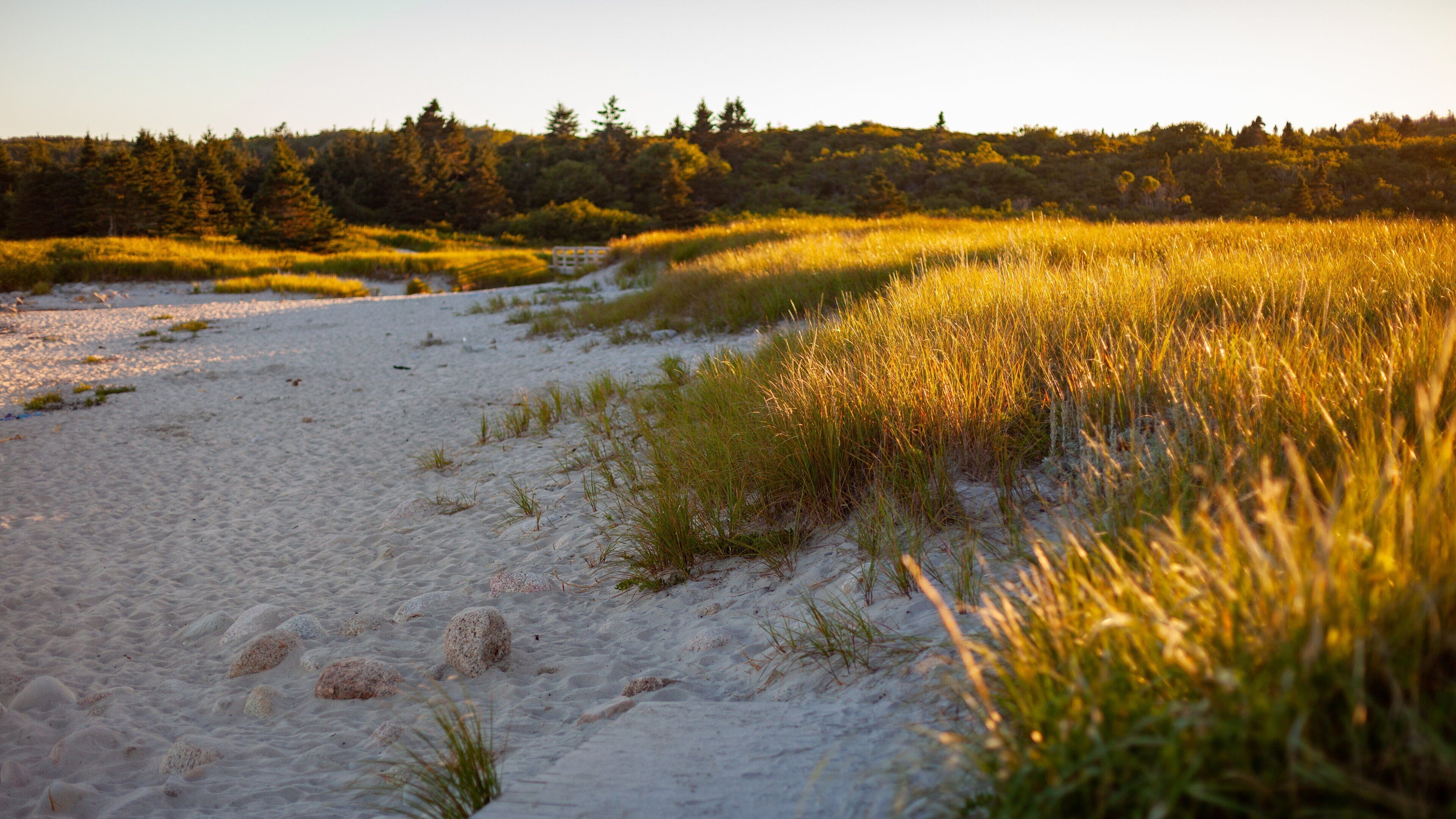 Crystal Crescent Beach showing a sunset and a sandy beach