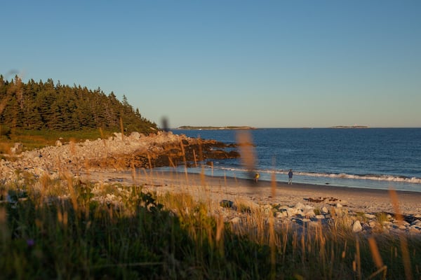 A coastal landscape with a rocky beach, grassy foreground, and a forested hill in the background.