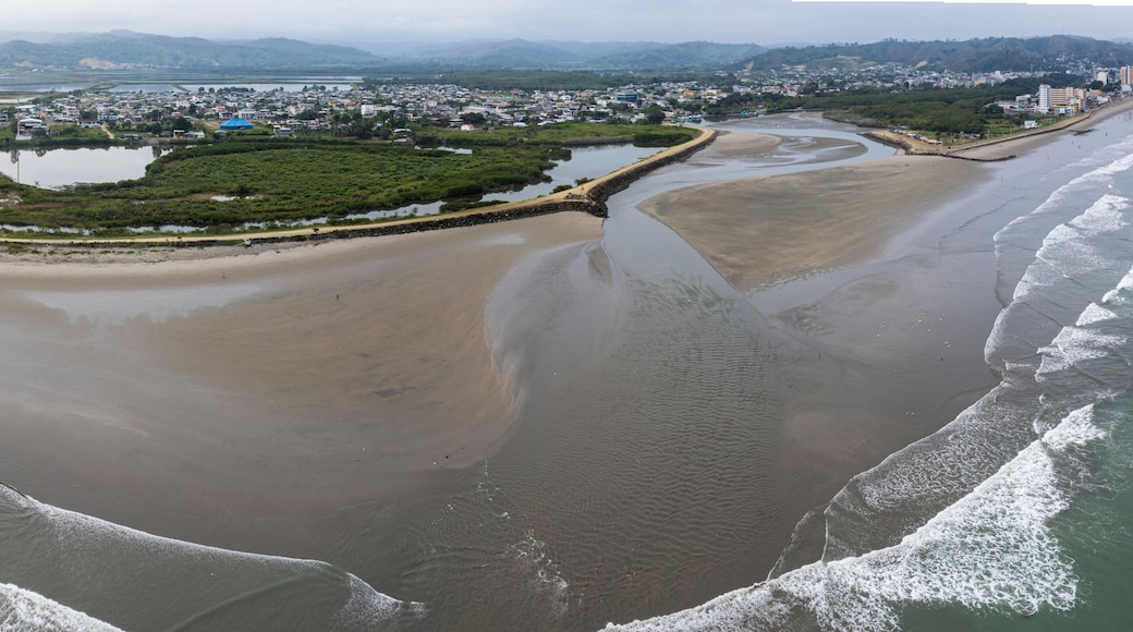 Panorama of an estuary inside a city