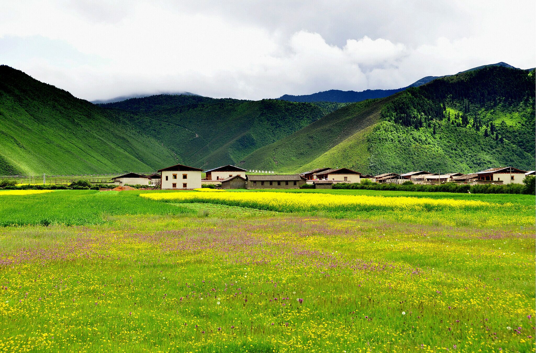 Shangri-La Travel Guide 2026: The Best of Shangri-La | Expedia