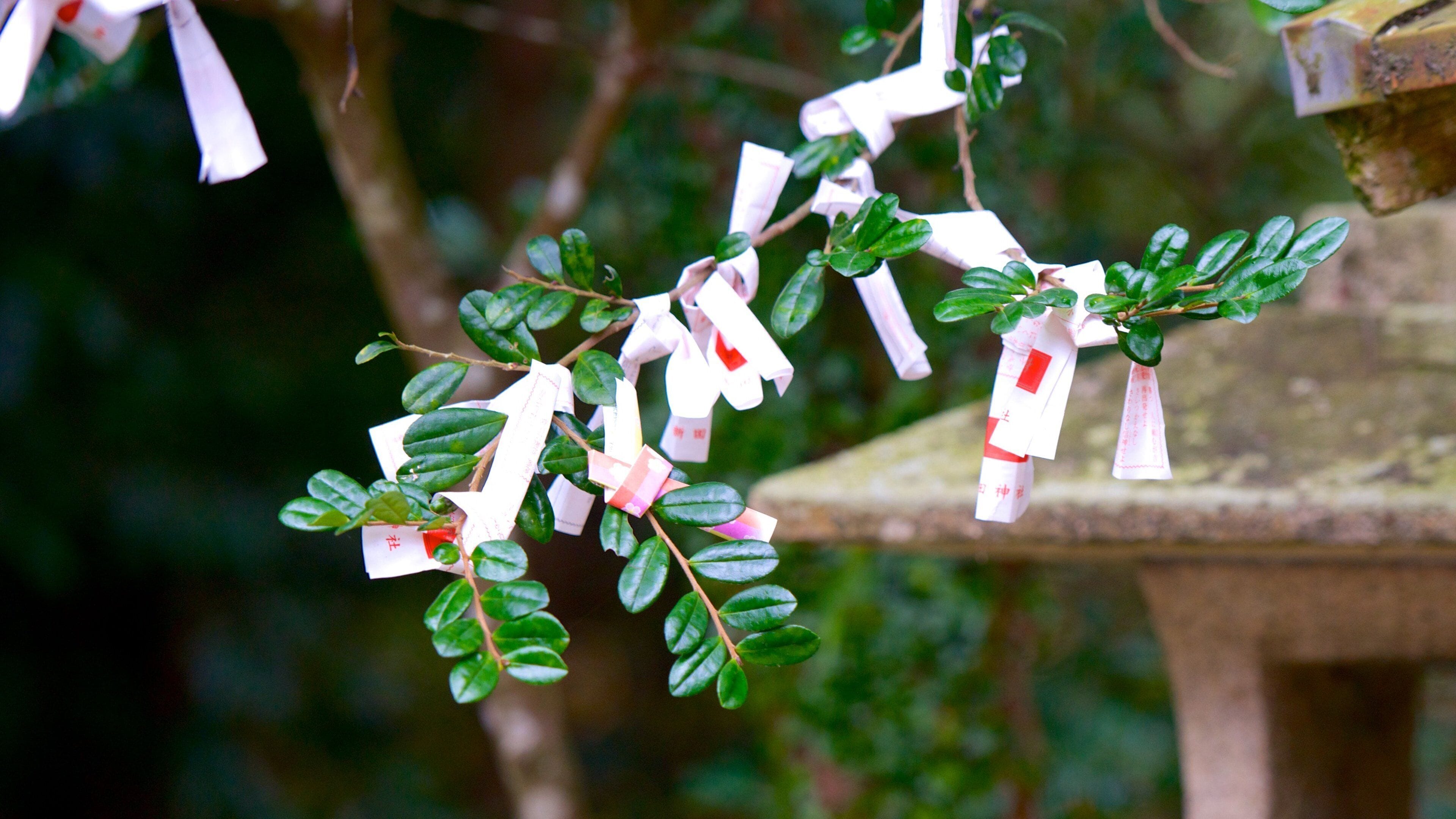 Nitta Helligdom som omfatter udendørs kunst