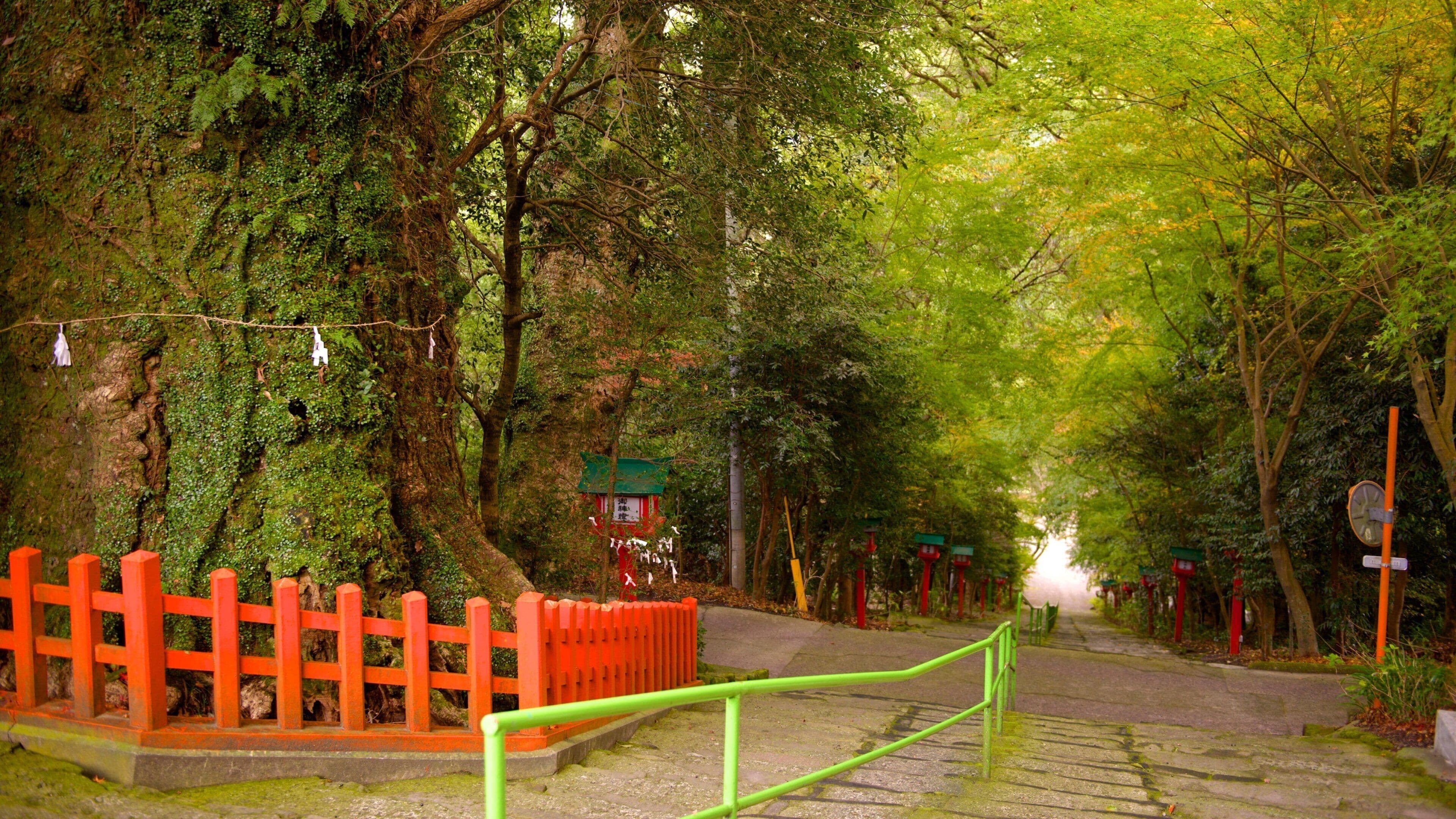 A forested path with a red fence and green railings.