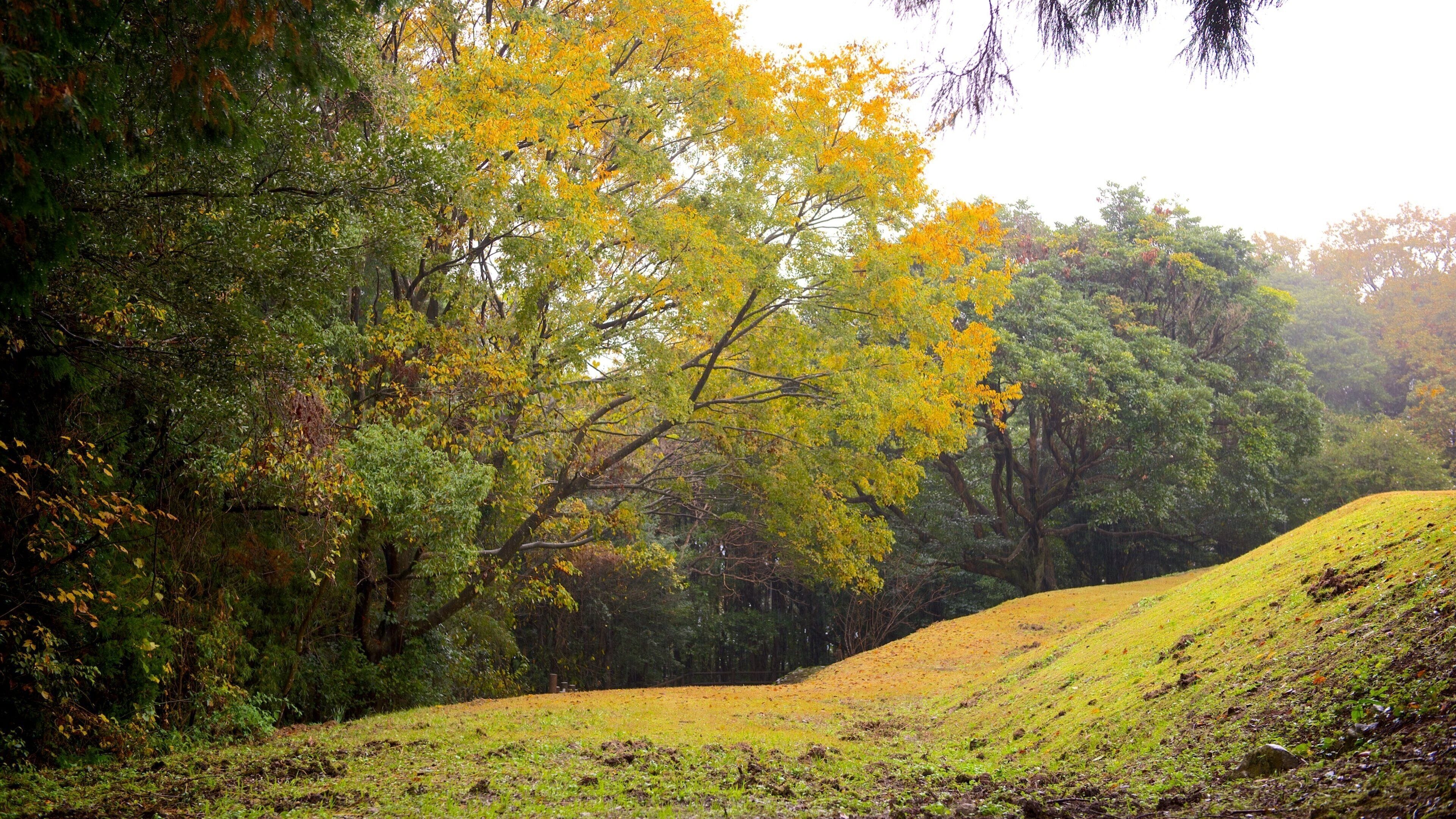 Kiyomizugaoka Park which includes a park