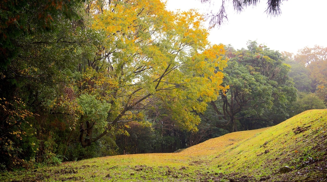 Kiyomizugaoka Park which includes a park