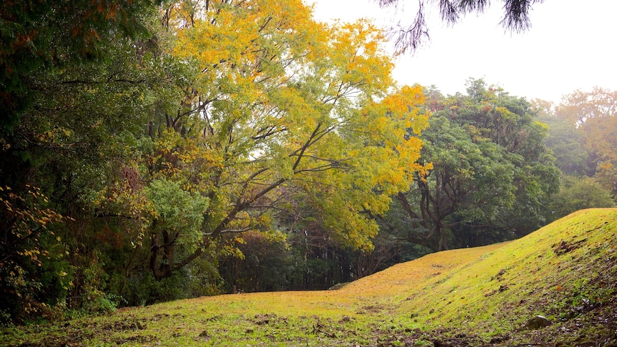 Kiyomizugaoka Park which includes a park