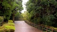 Un chemin pavé bordé d’une végétation luxuriante et d’une clôture en bois.