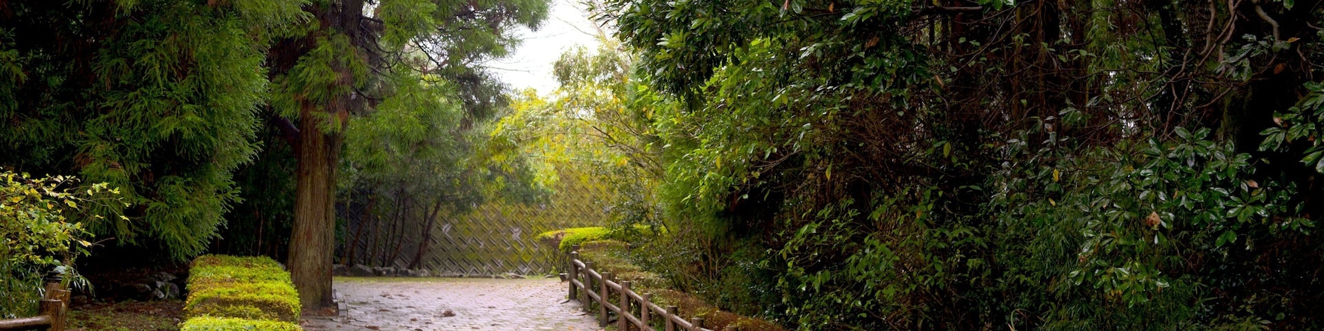 Kiyomizugaoka Park showing a garden