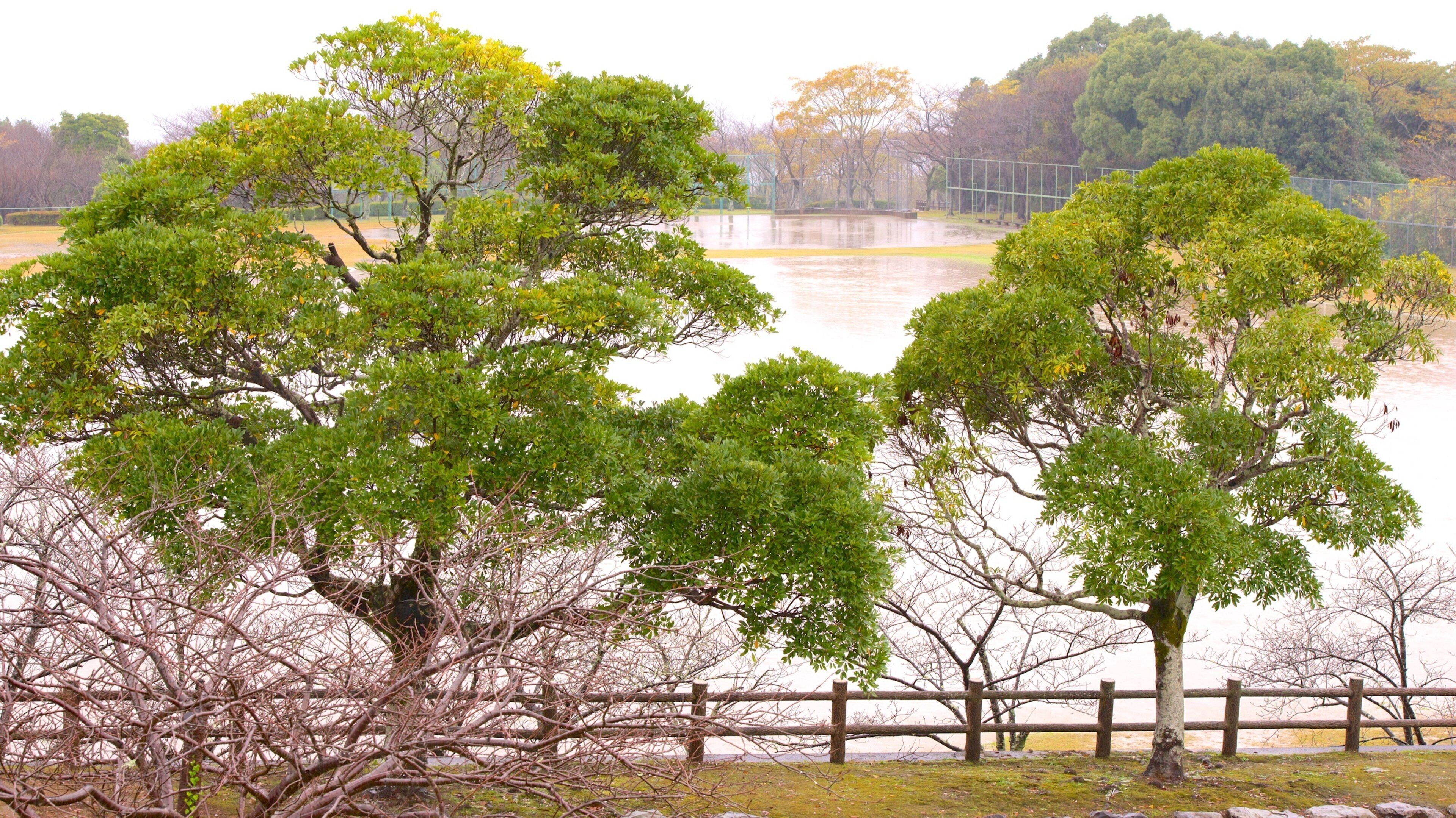 Kiyomizugaoka Park