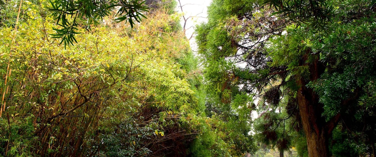Kiyomizugaoka Park which includes a garden