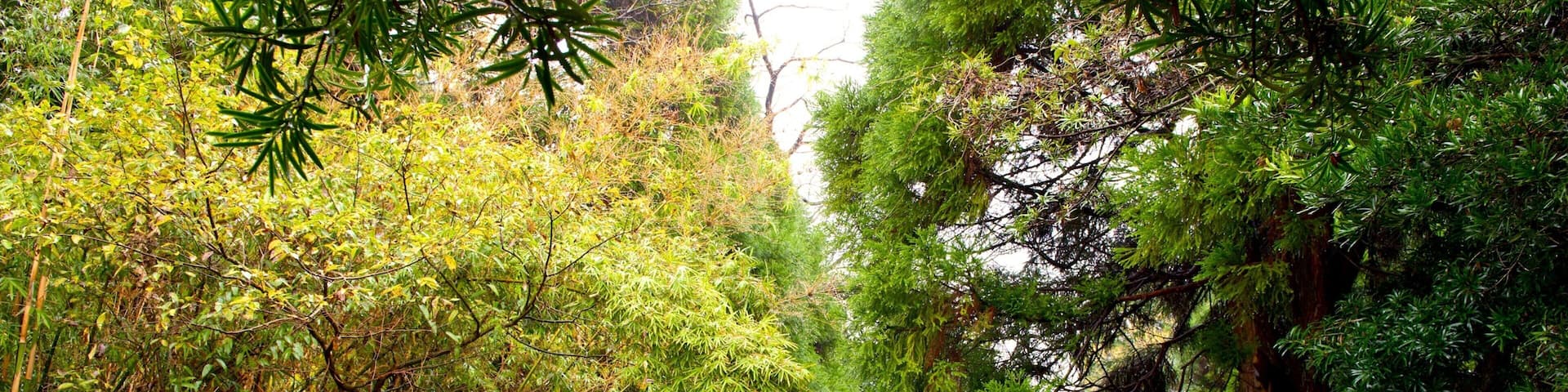 Kiyomizugaoka Park caracterizando um jardim