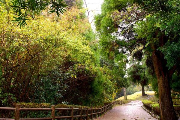 Kiyomizugaoka Park which includes a garden