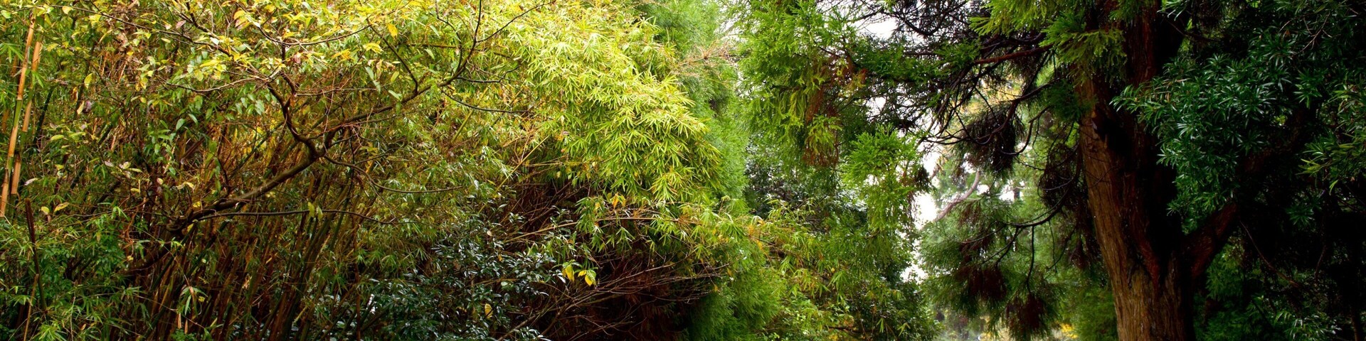 Kiyomizugaoka Park which includes a garden
