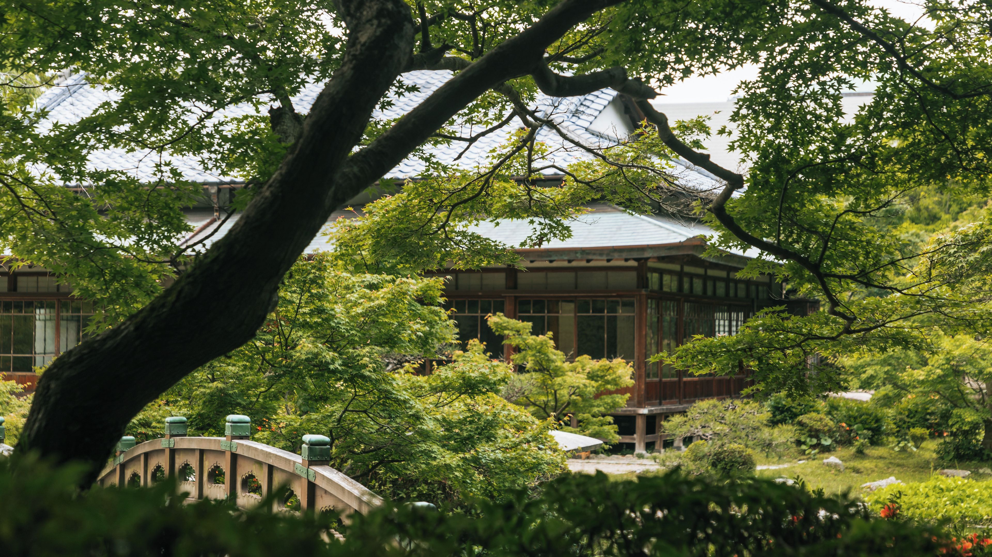 調布市花園