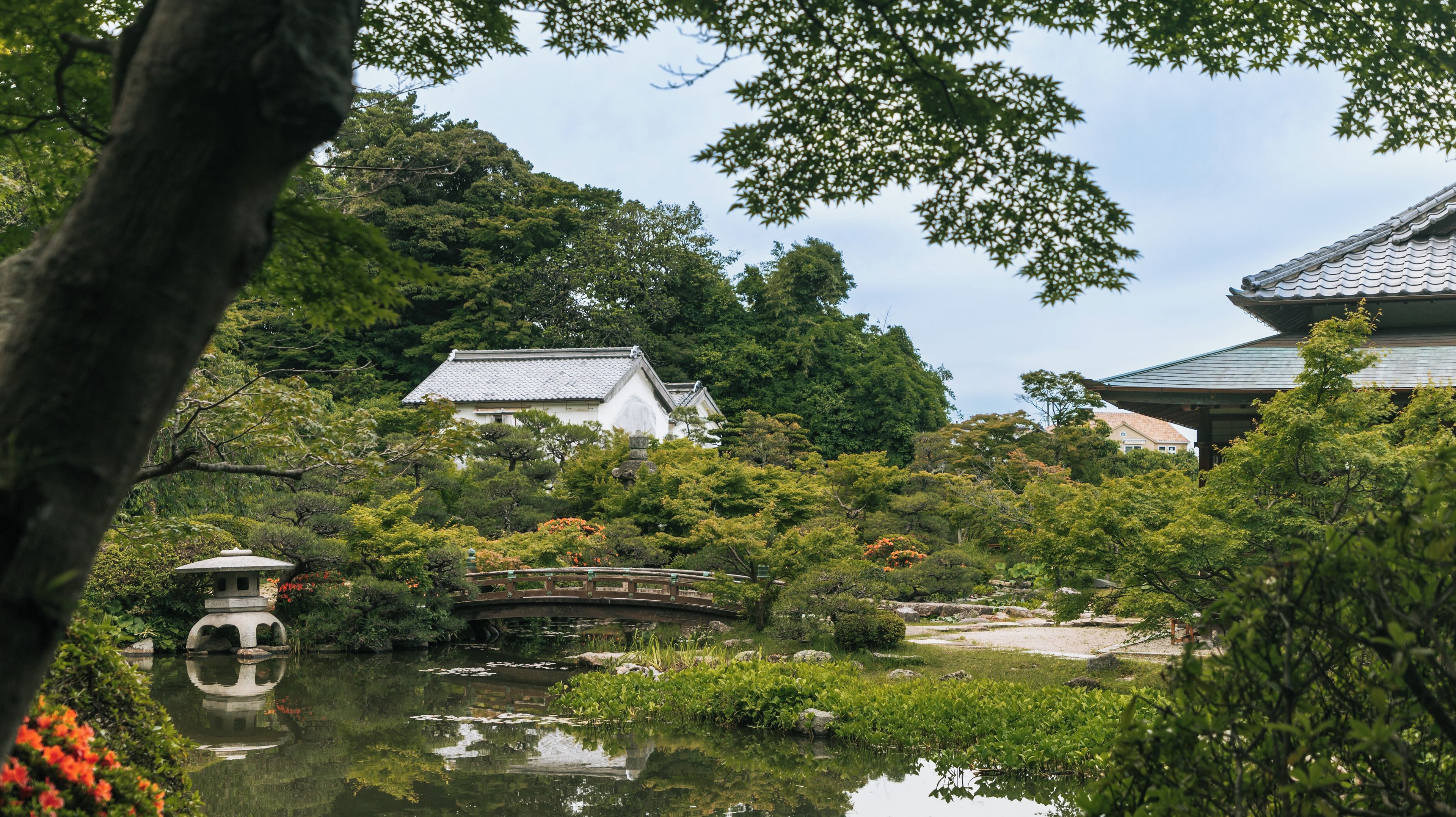 調布市花園