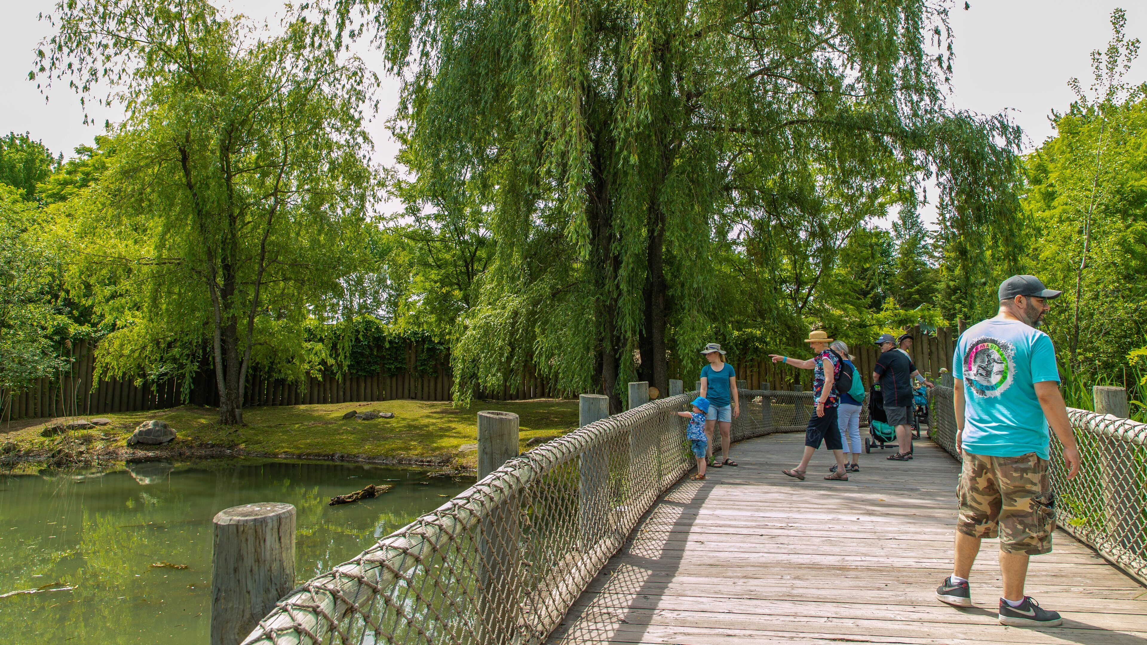 Granby Zoo which includes a bridge and a pond as well as a family