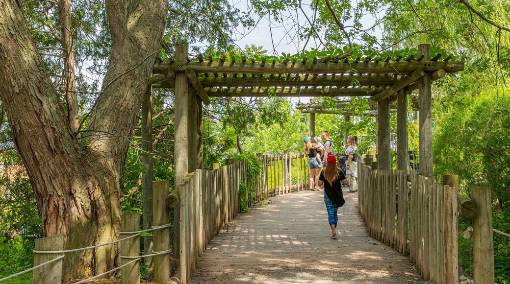 Granby Zoo which includes a garden as well as a small group of people