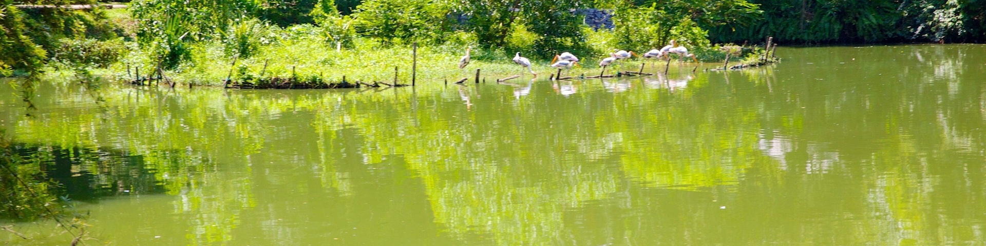 Peninsular Malaysia showing a pond