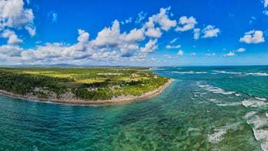 Panoramic view of a beach in the Dominican Republic, from the air