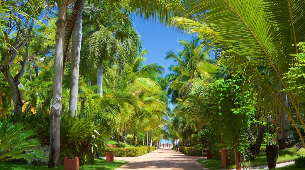 Arena Gorda Beach which includes a garden
