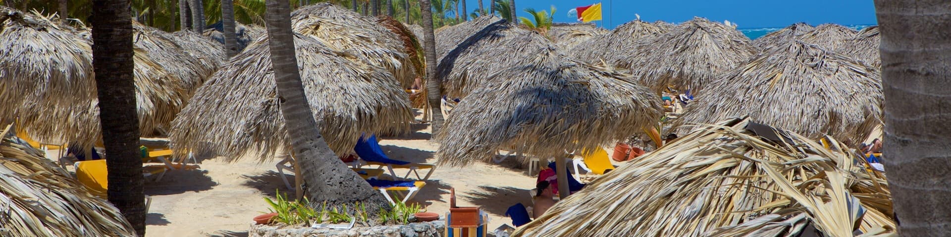 A beach with thatched umbrellas, palm trees, and a clear blue sky.