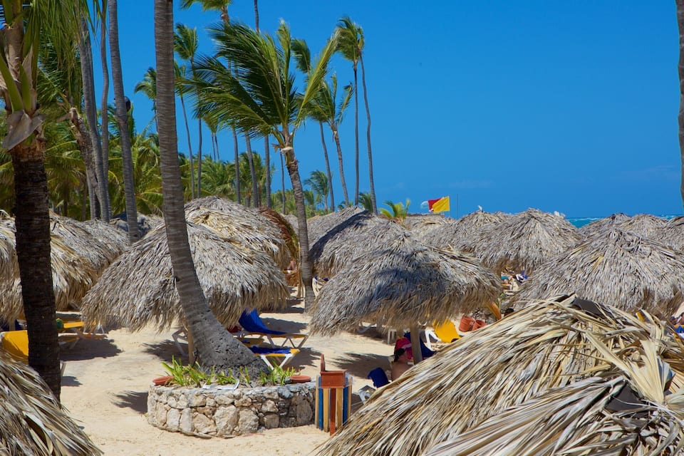 Ein Strand mit Reetdachschirmen, Palmen und wolkenlosem, blauem Himmel.