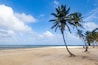 Una playa con palmeras y un cielo azul despejado.