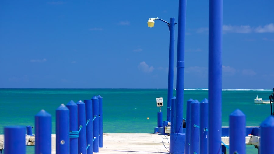 Cabeza de Toro showing general coastal views