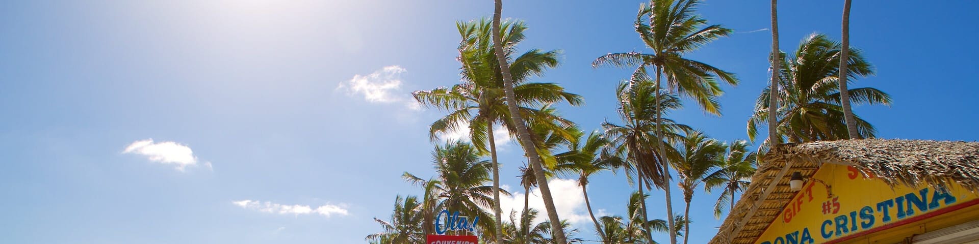 Cortecito Beach which includes a sandy beach