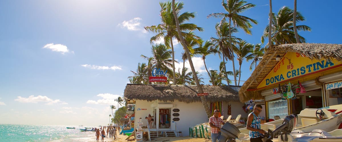 A beach with palm trees, a thatched-roof shop, and a boat.