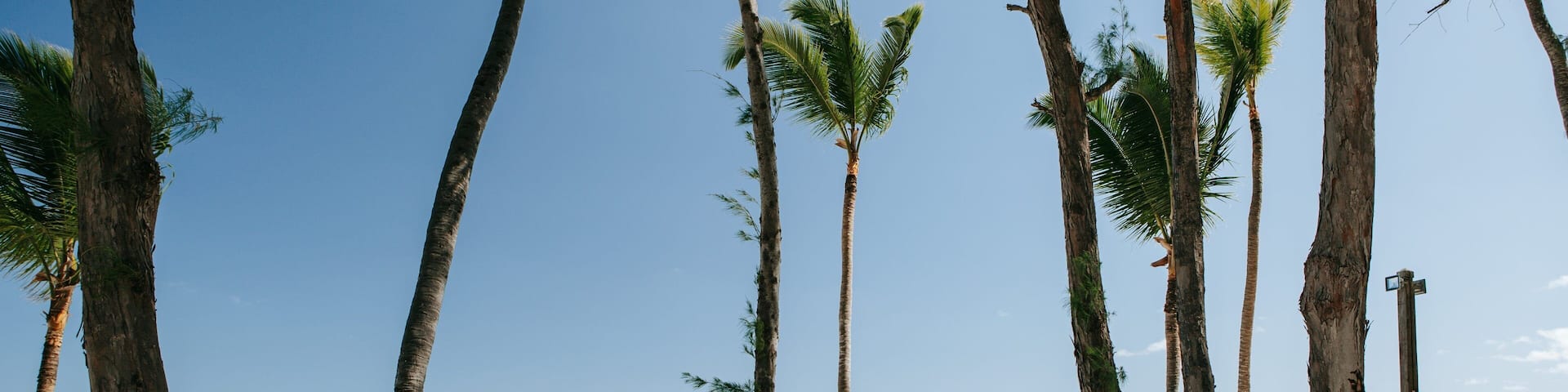 Cortecito Beach showing general coastal views, a beach and tropical scenes