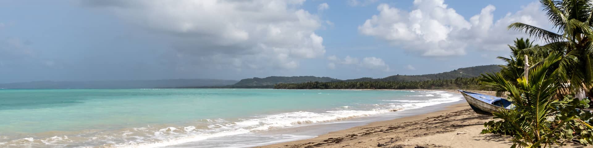 beach with palm trees and blue sky