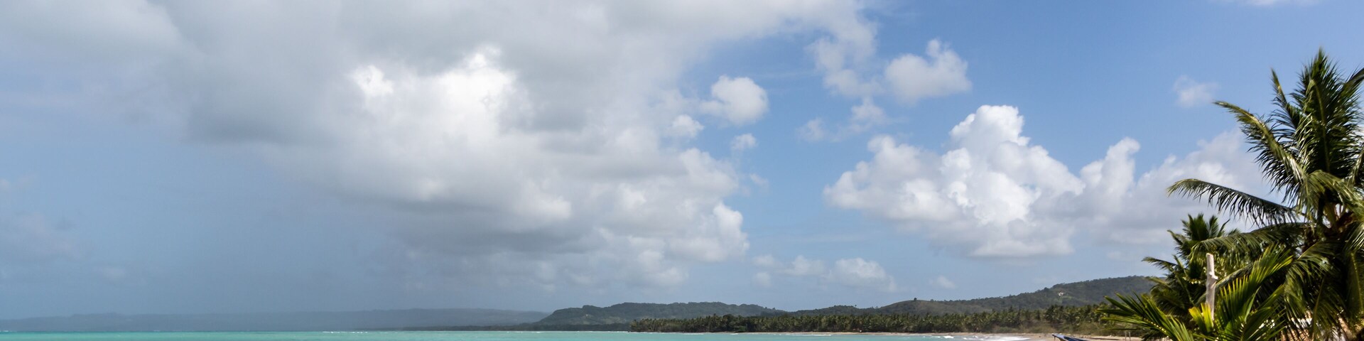 beach with palm trees and blue sky