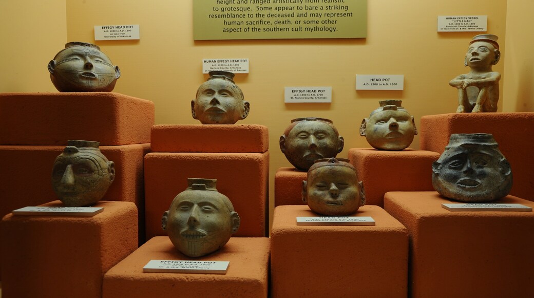 Museum of Native American History inclusief interieur