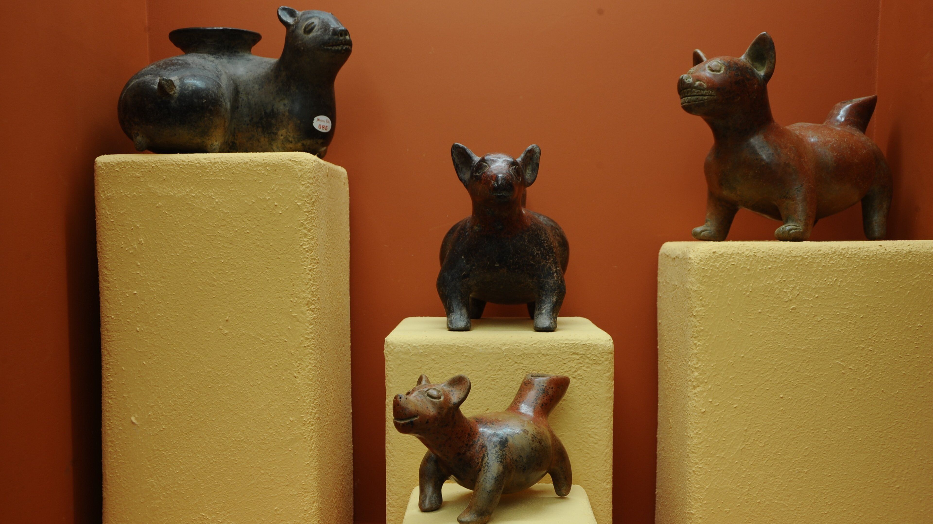 พิพิธภัณฑ์ประวัติศาสตร์ท้องถิ่นอเมริกัน แสดง การตกแต่งภายใน