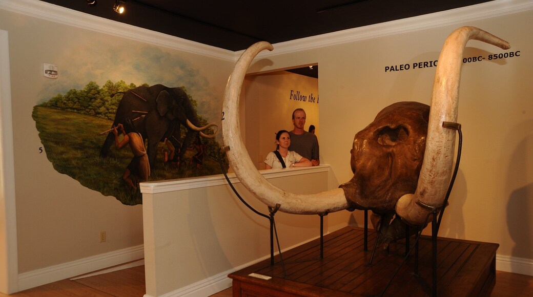 Museum of Native American History featuring interior views as well as a couple