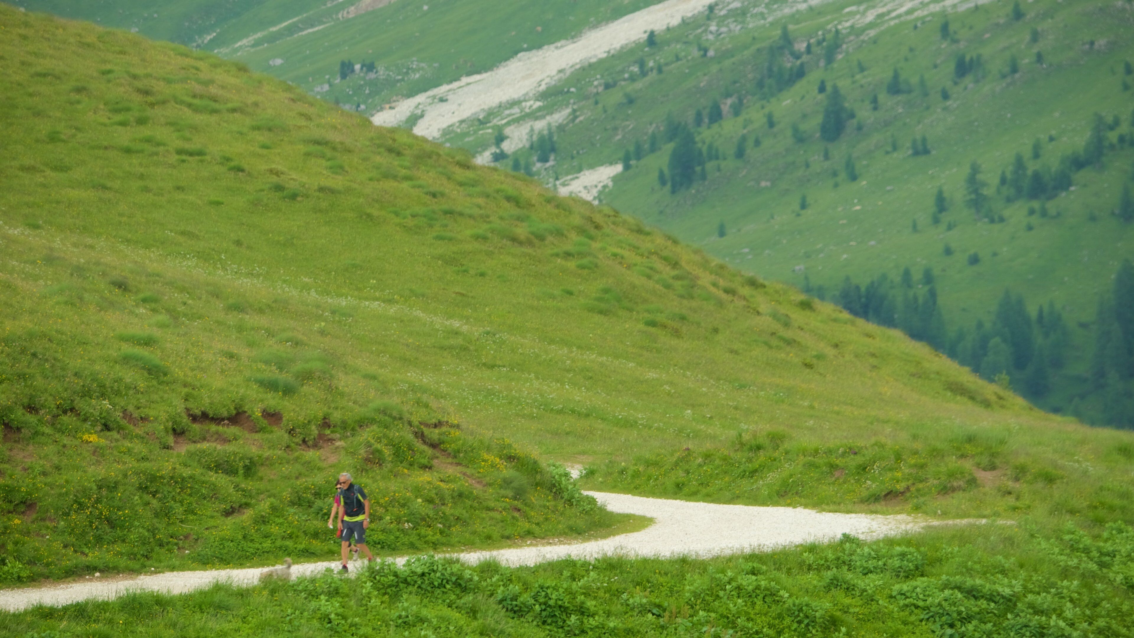 Passo Rolle which includes hiking or walking and mountains as well as an individual male