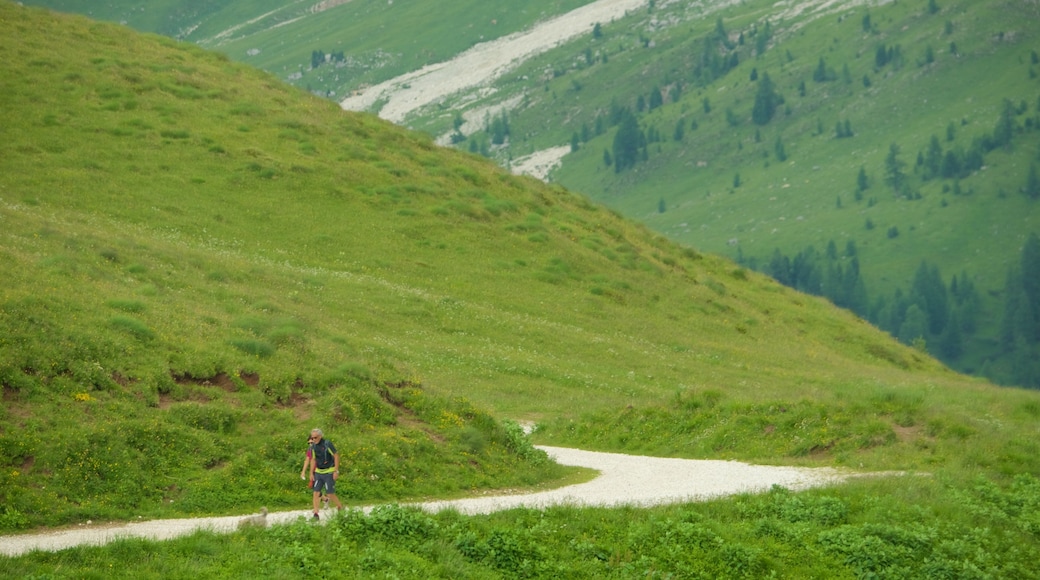 Passo Rolle which includes hiking or walking and mountains as well as an individual male