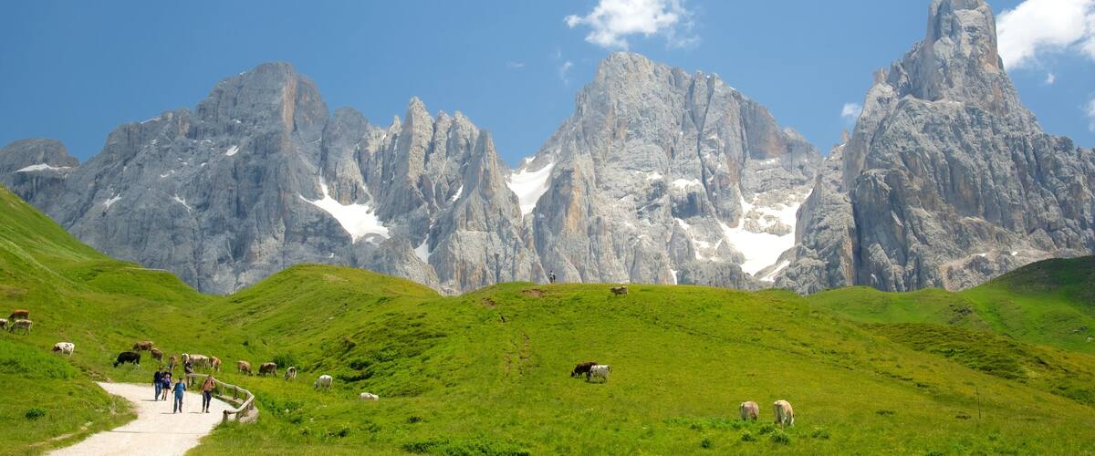 Rollepass das einen Landtiere, Berge und Farmland