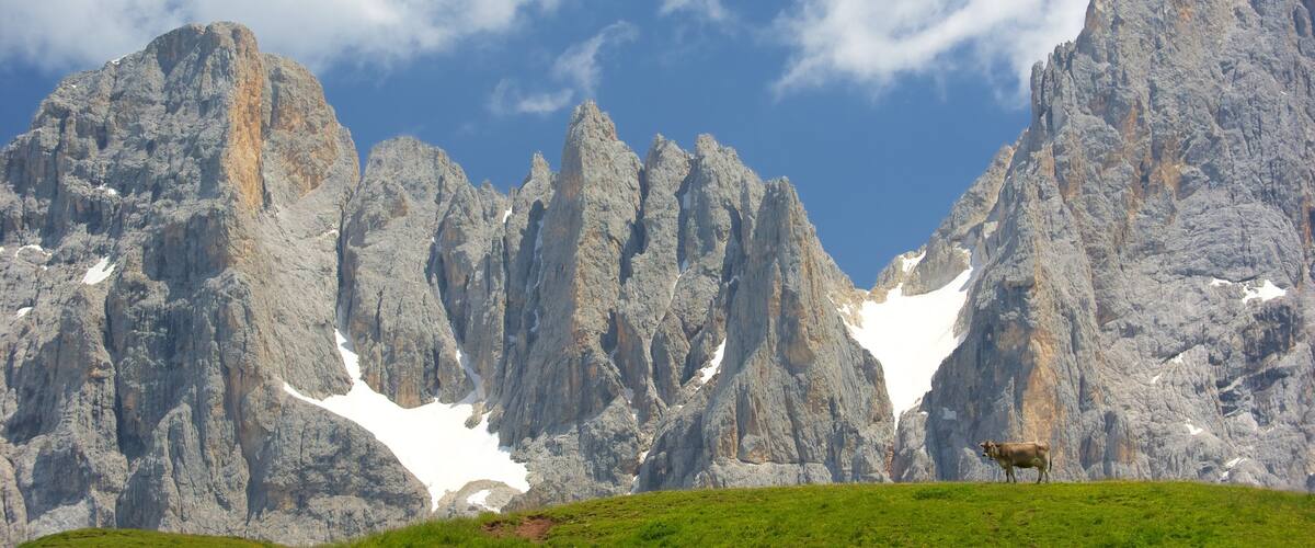 Passo Rolle which includes skyline, land animals and mountains