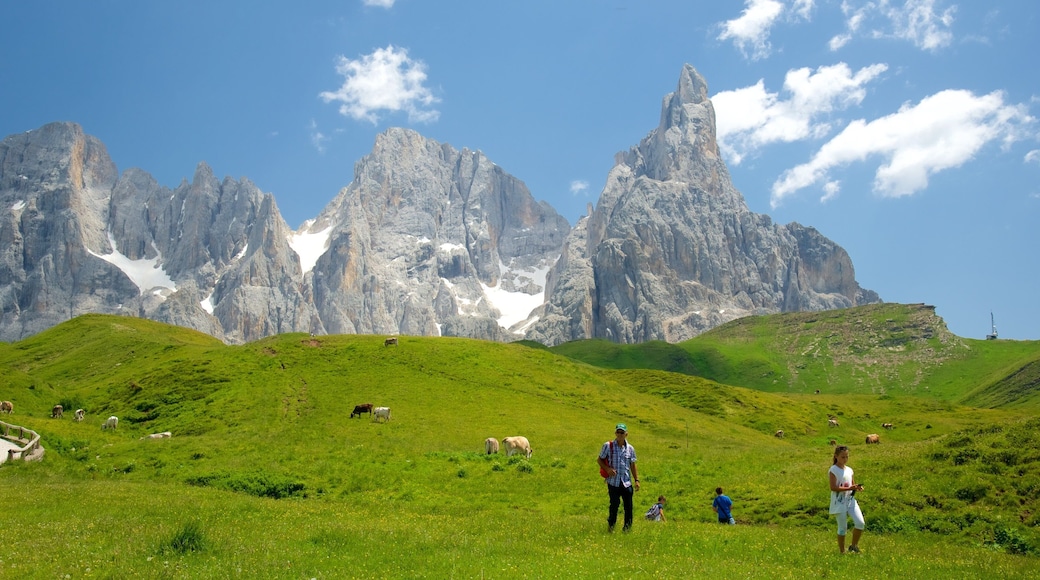 Passo Rolle featuring mountains and land animals as well as a small group of people
