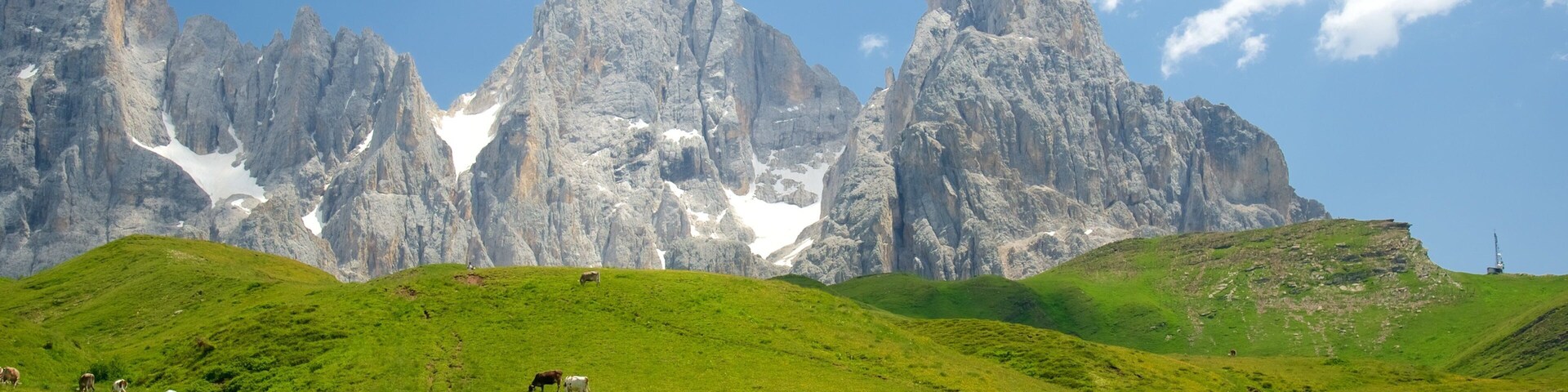 Passo Rolle caracterizando montanhas e animais terrestres assim como um pequeno grupo de pessoas
