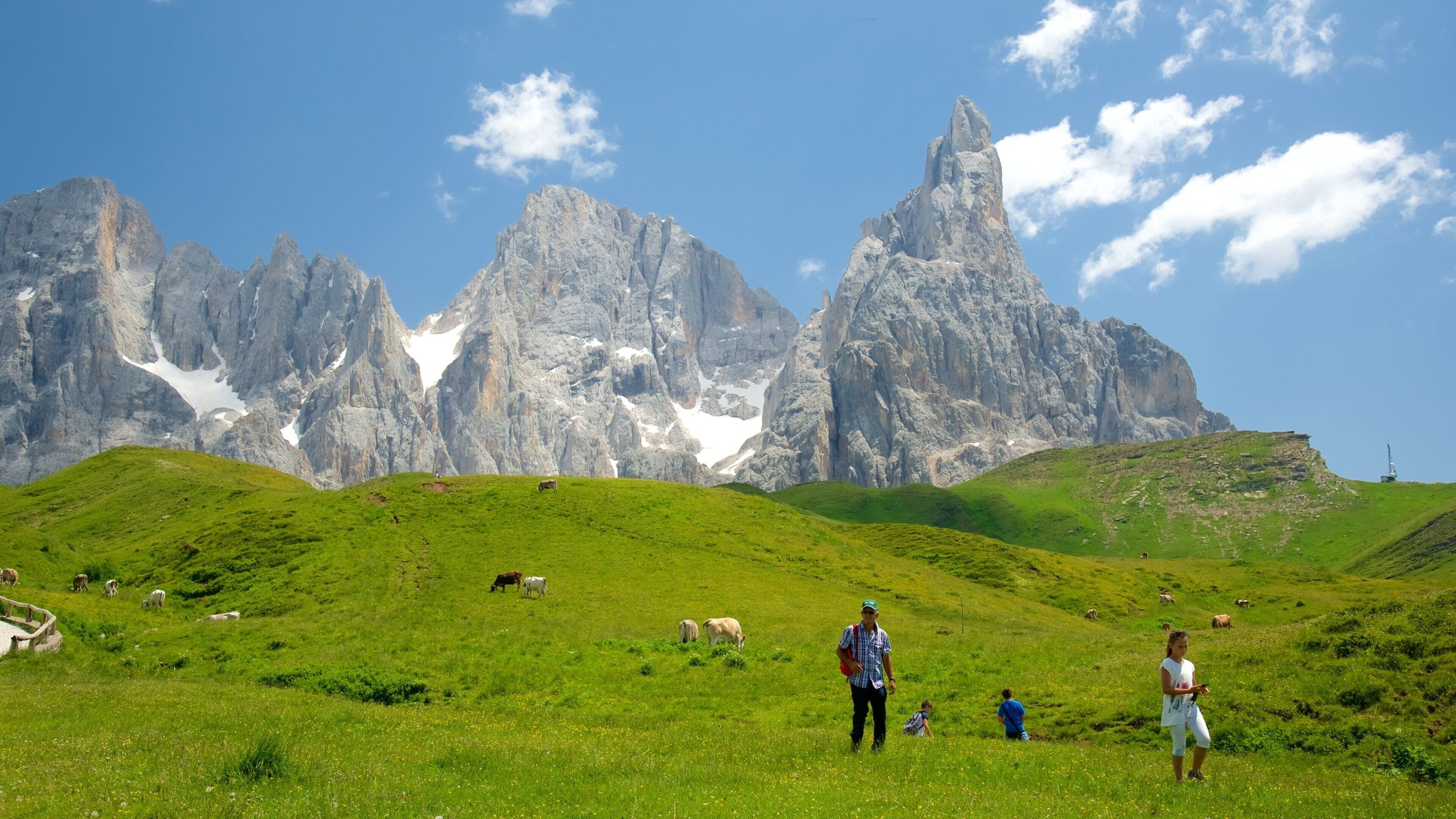A grassy field with cows grazing, a person walking, and a mountain range in the background.