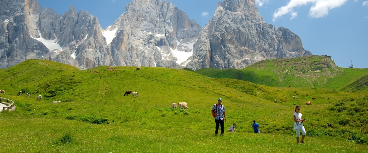 A grassy field with cows grazing, a person walking, and a mountain range in the background.