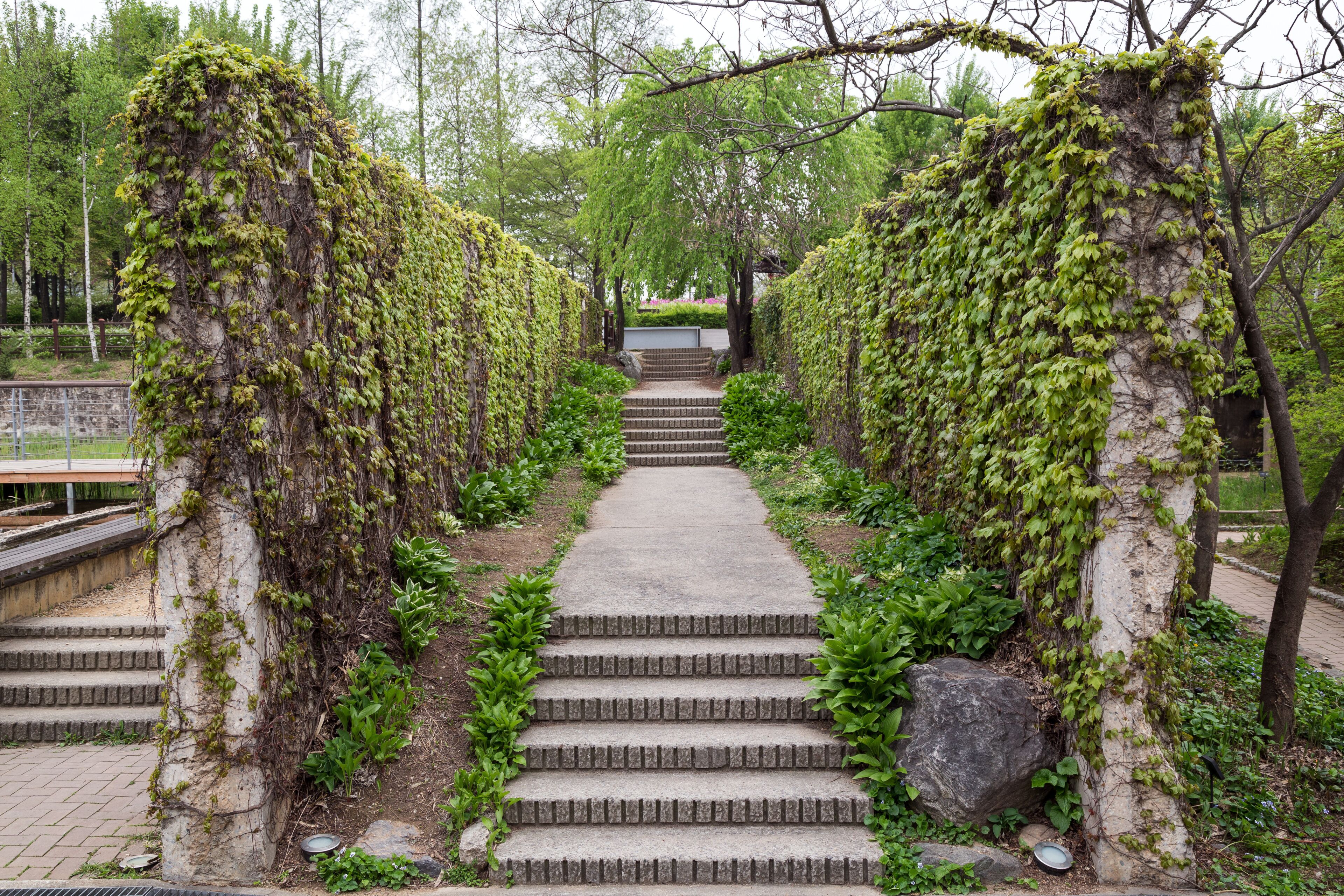 Parc de Seonyudo