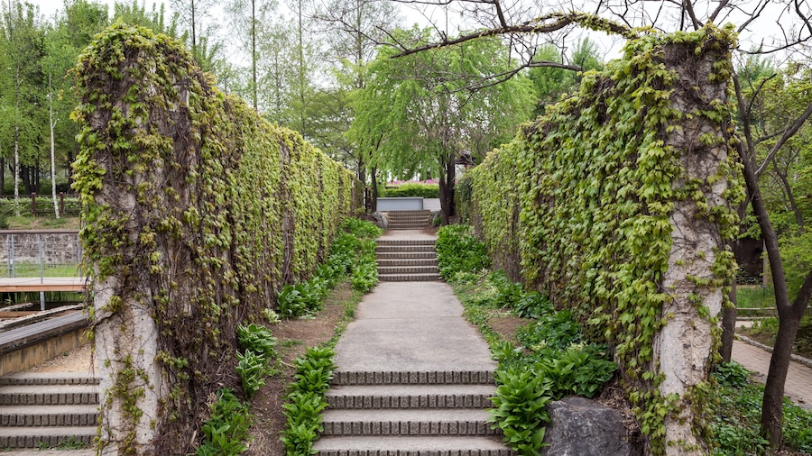 Pathway at the Seonyudo Park in Seoul, South Korea. The park used to be a filtration plant, thus the industrial look, but was converted into an ecological park.