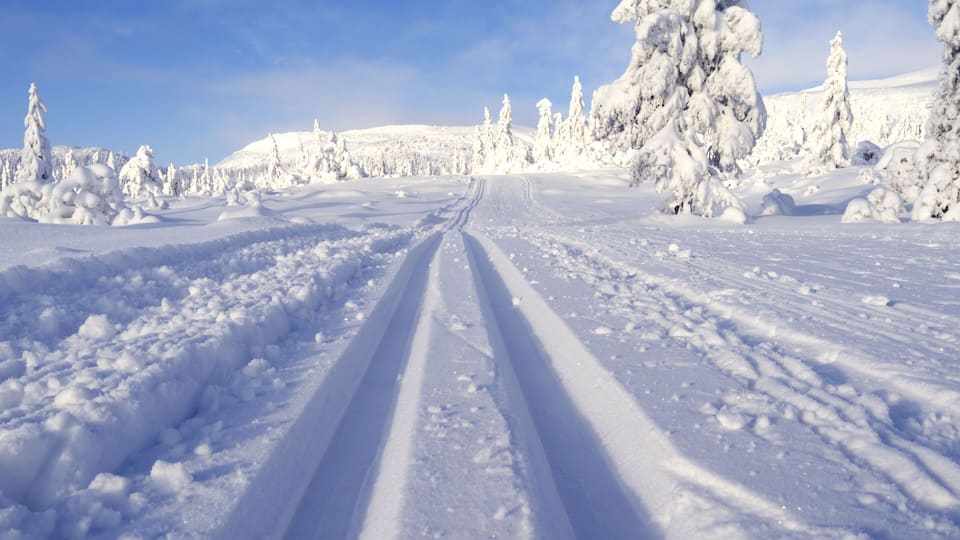 Norefjell / Norway: Dreamlike cross-country ski trail in January