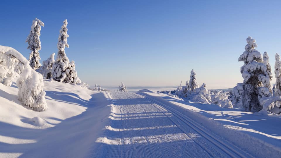 Norefjell / Norway: Perfect conditions for cross-country skiing