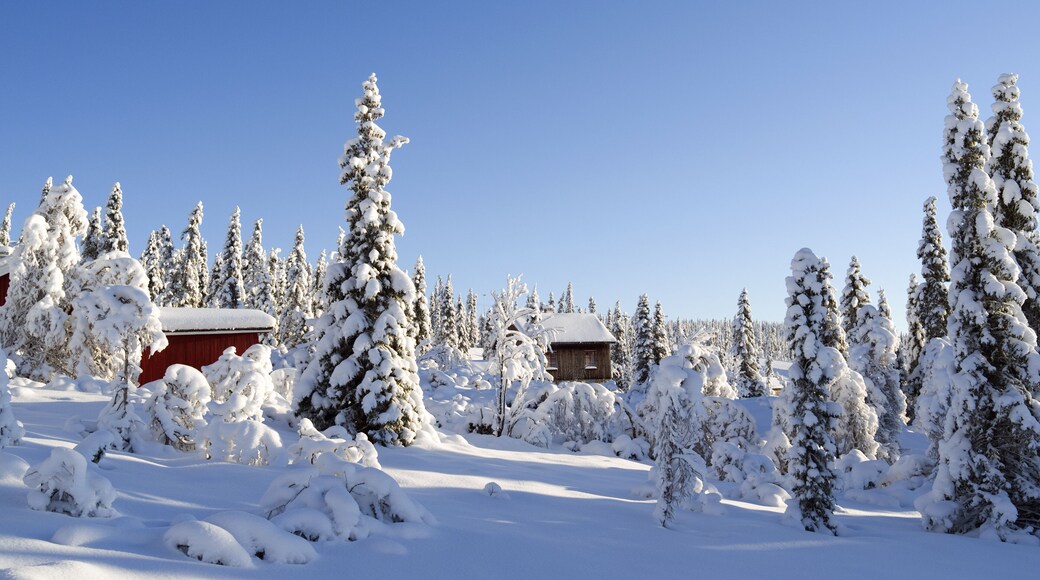 Norefjell / Norway: Dreamy winter landscape