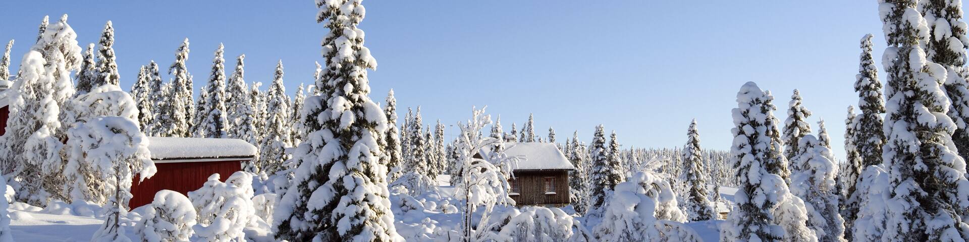 Norefjell / Norway: Dreamy winter landscape